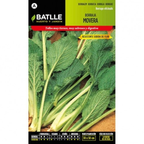 BATLLE SOBRES ESP. BORRAJA FLOR BLANCA MOVERA BATLLE